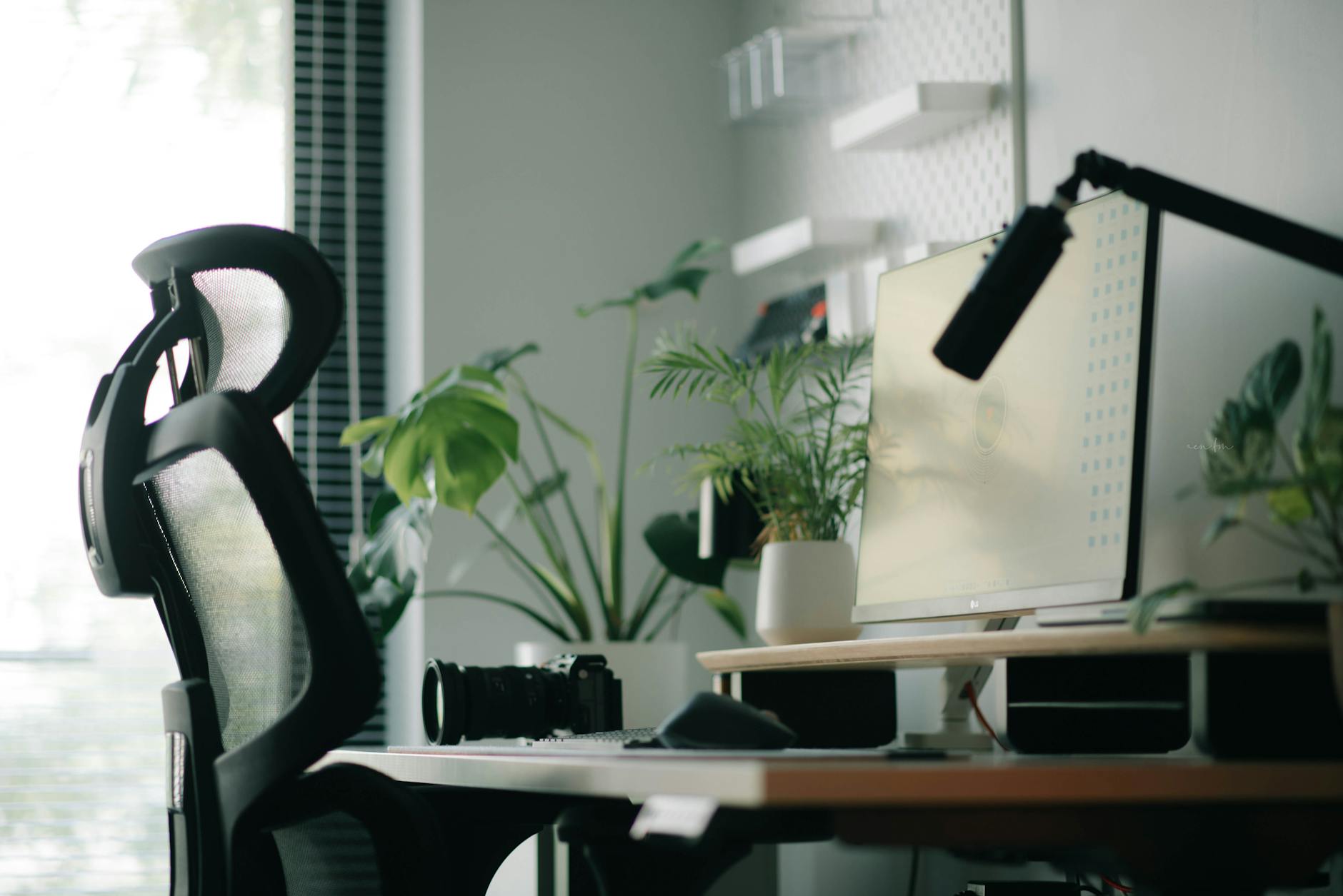 Domowe biuro z ergonomicznym krzesłem, biurkiem i zielonymi roślinami Domowe biuro z ergonomicznym krzesłem, biurkiem i zielonymi roślinami