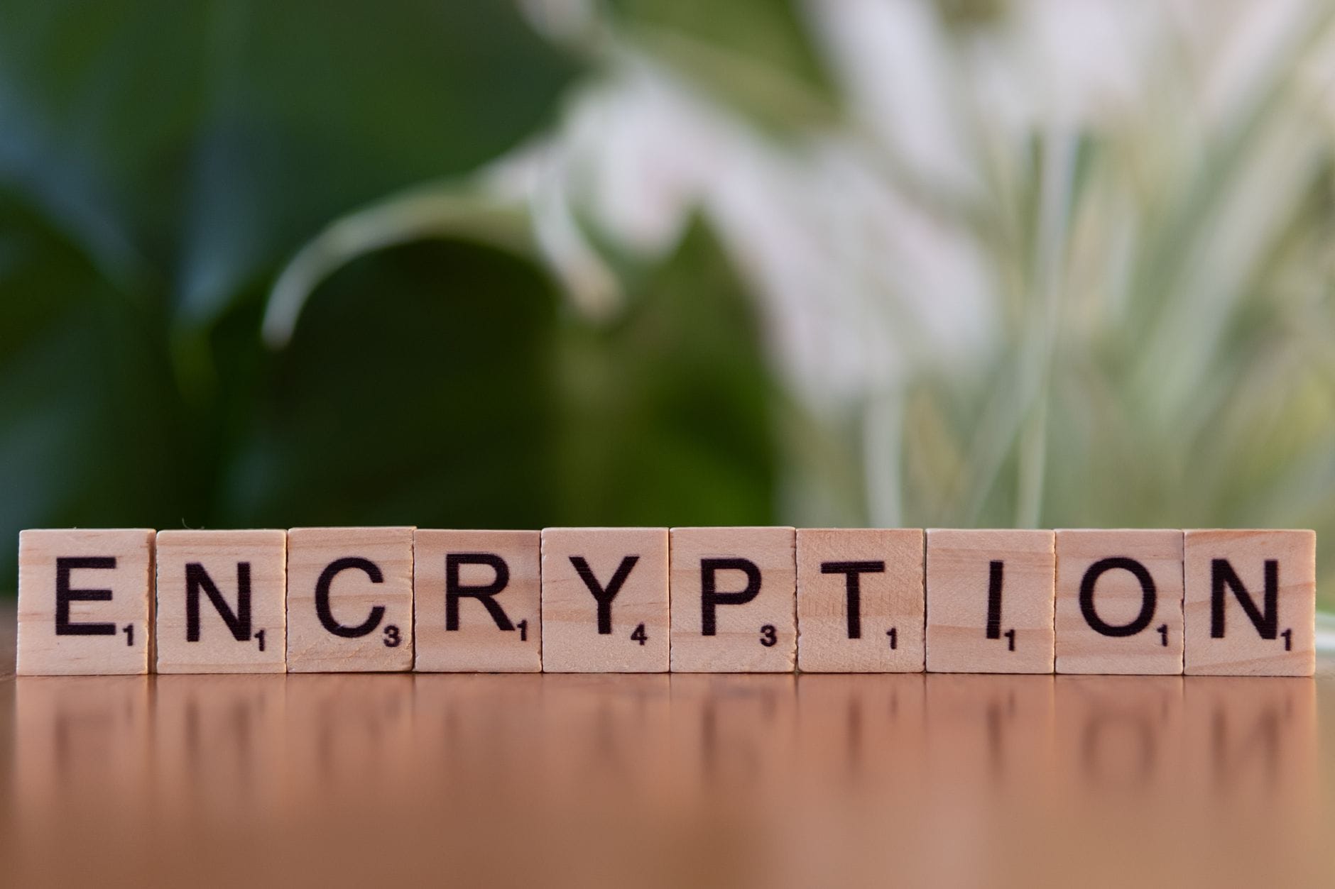 Drewniane klocki tworzące napis encryption, symbol ochrony danych Drewniane klocki tworzące napis encryption, symbol ochrony danych